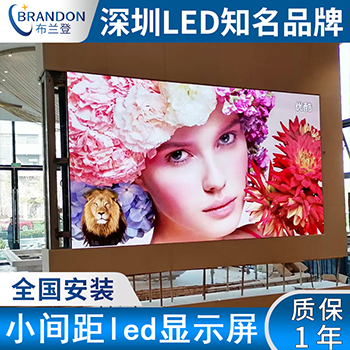 布兰登光电 室内全彩LED租赁屏系列 | P1.56/P1.95/P2.6/P2.97/P3.91 | GOB防撞高清舞台大屏 | 1688源头工厂直供